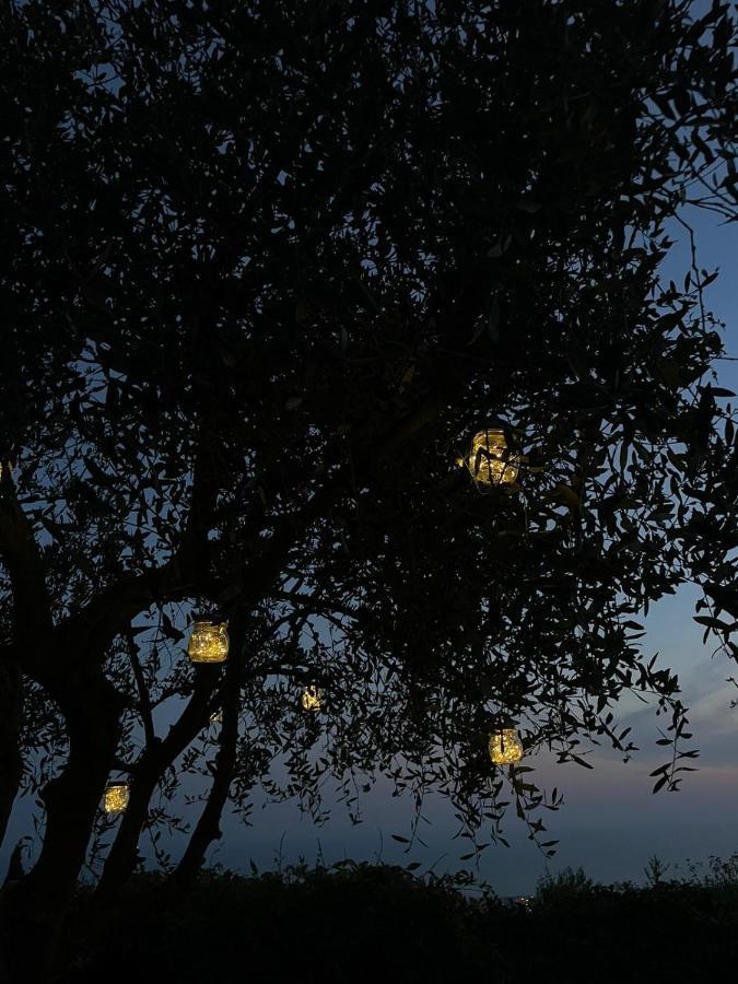 La Terrazza Sulla Versilia Pietrasanta Ngoại thất bức ảnh