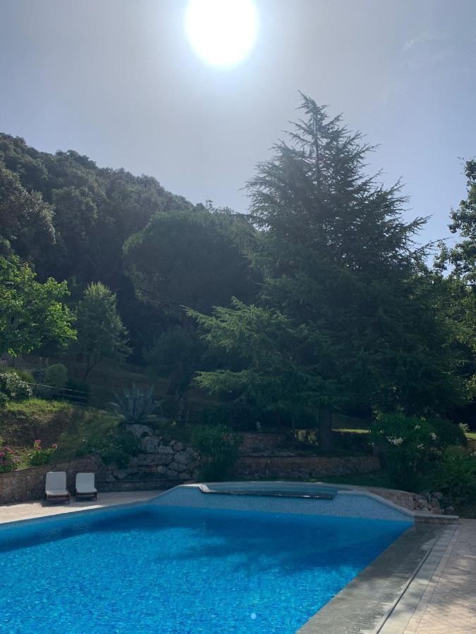La Terrazza Sulla Versilia Pietrasanta Ngoại thất bức ảnh