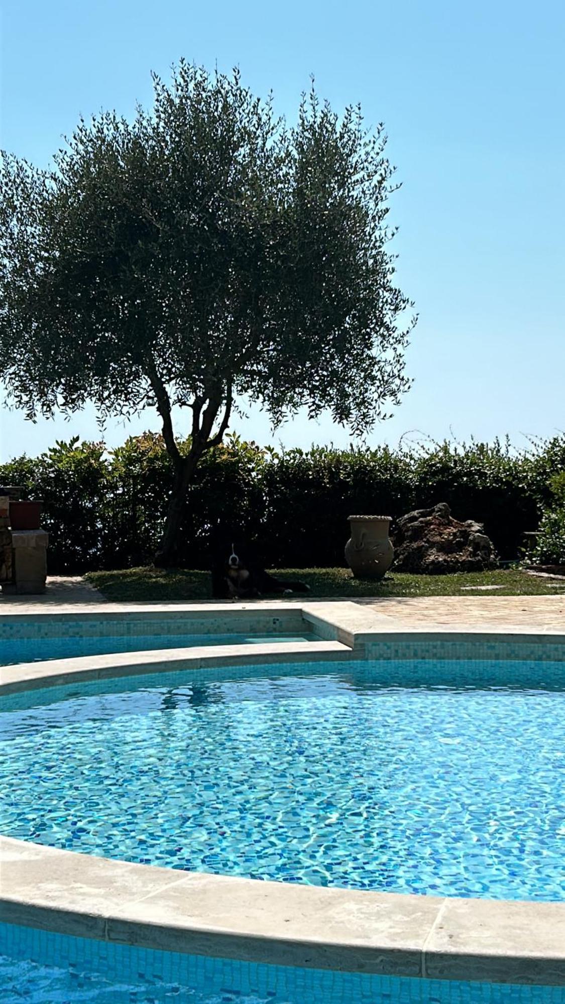La Terrazza Sulla Versilia Pietrasanta Ngoại thất bức ảnh